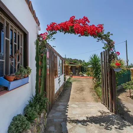 La Florida Vila Icod De Los Vinos
